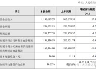 石头科技2024财报：四季度营收破纪录、投入加大或致利润未同步增长