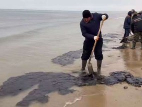 俄罗斯黑海沿岸再次出现燃油污染物