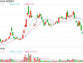 海源复材连续亏损存退市风险，公司该如何化危为机？