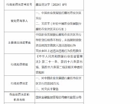 农发行廊坊市安次区支行被罚30万元：因存在贷后检查不到位