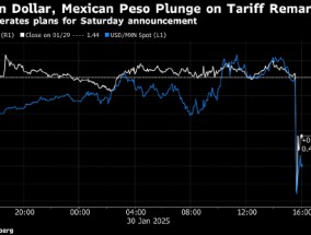 特朗普的25%关税承诺震动汇市 加元和墨西哥比索双双重挫
