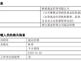 任职不足2年 蜂巢基金副总经理林勇离任