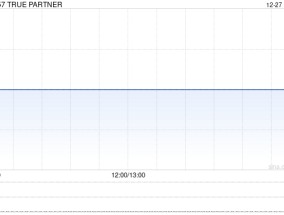 TRUE PARTNER拟折让约13%发行1950万股 净筹约730万港元