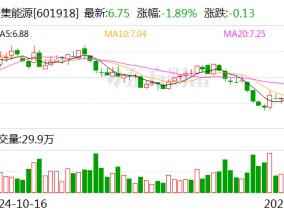 新集能源：2024年净利润23.71亿元 同比增长12.39%