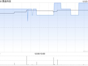 赛晶科技授出6970万份购股权