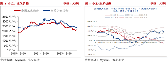 长安期货刘琳：玉米阶段性供需趋于宽松 短期不排除回调可能