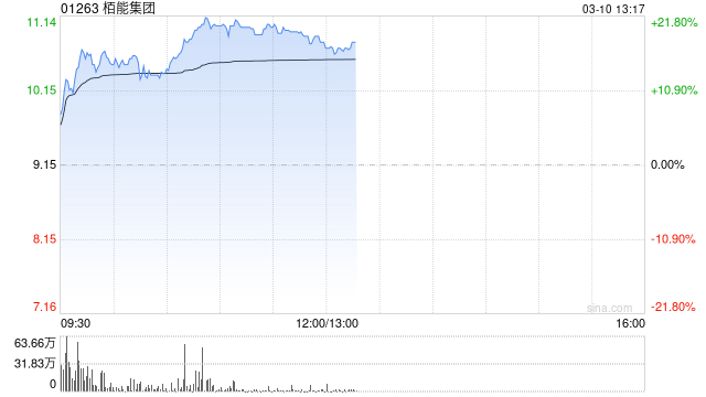 栢能集团早盘大涨超20% 2024年全年纯利同比增长331%